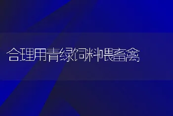 羔羊断尾法