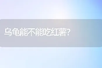 乌龟能不能吃红薯？