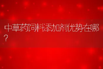 中草药饲料添加剂优势在哪？