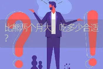 比熊两个月大，吃多少合适？