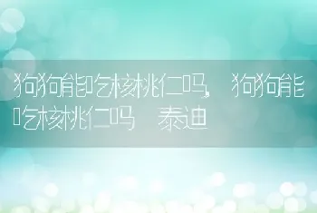 狗狗能吃核桃仁吗，狗狗能吃核桃仁吗 泰迪