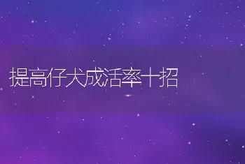 提高仔犬成活率十招