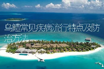 乌鳢常见疾病流行特点及防治方法