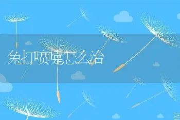 兔打喷嚏怎么治