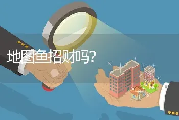 地图鱼招财吗？