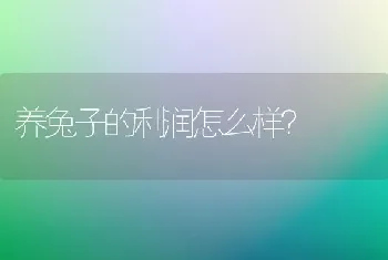 养兔子的利润怎么样？