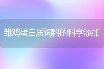 雏鸡蛋白质饲料的科学添加