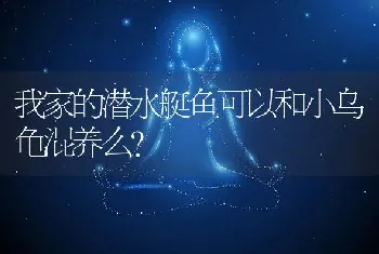 我家的潜水艇鱼可以和小乌龟混养么？