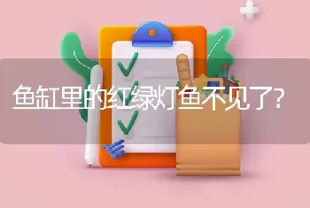 鱼缸里的红绿灯鱼不见了？