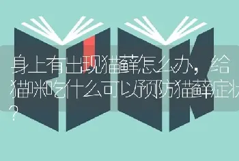 身上有出现猫藓怎么办，给猫咪吃什么可以预防猫藓症状？