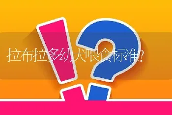 拉布拉多幼犬喂食标准？