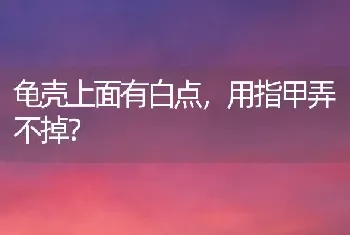 龟壳上面有白点，用指甲弄不掉？