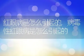 红眼病是怎么引起的，病毒性红眼病是怎么引起的