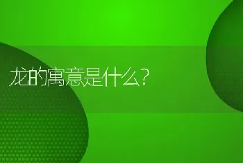 龙的寓意是什么？