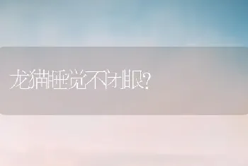 龙猫睡觉不闭眼？