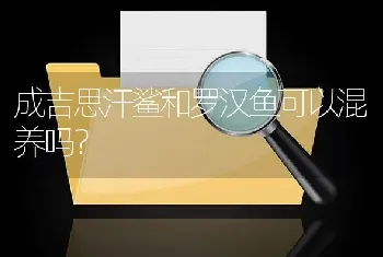 成吉思汗鲨和罗汉鱼可以混养吗？