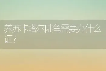 养苏卡塔尔陆龟需要办什么证？