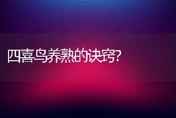 四喜鸟养熟的诀窍？