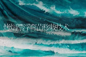 烤烟漂浮育苗移栽技术