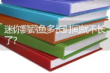 迷你鹦鹉鱼多长时间就不长了？