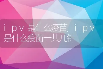 ipv是什么疫苗，ipv是什么疫苗一共几针