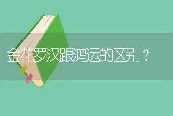 金花罗汉跟鸿运的区别？