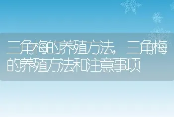 三角梅的养殖方法，三角梅的养殖方法和注意事项