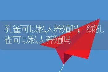 孔雀可以私人养殖吗，绿孔雀可以私人养殖吗