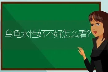 乌龟水性好不好怎么看？