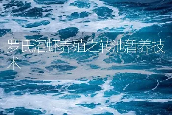 罗氏沼虾养殖之转池暂养技术