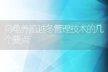 乌龟养殖越冬管理技术的几个要点