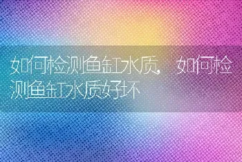 如何检测鱼缸水质，如何检测鱼缸水质好坏