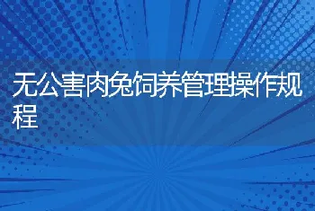 无公害肉兔饲养管理操作规程