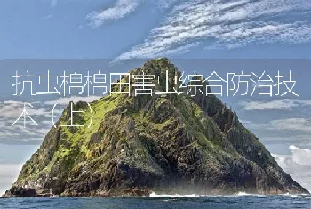 抗虫棉棉田害虫综合防治技术（上）