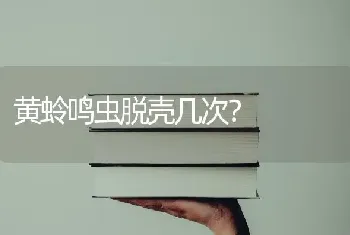 黄蛉鸣虫脱壳几次？