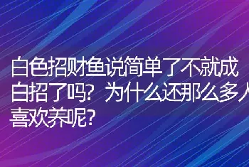 白色招财鱼说简单了不就成白招了吗？为什么还那么多人喜欢养呢？