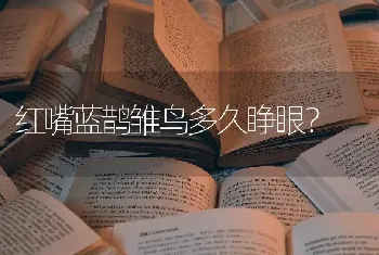 红嘴蓝鹊雏鸟多久睁眼？