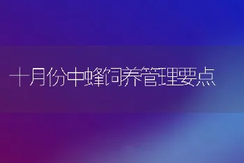 十月份中蜂饲养管理要点