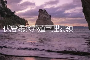 伏夏海水养殖管理要领