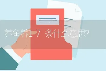 养鱼养17条什么意思？