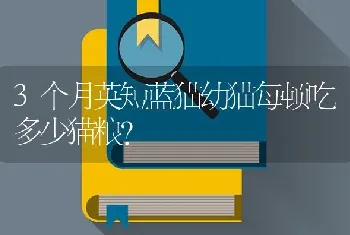 狗狗的1岁相当于人类几岁?一般狗狗的寿命有多长？