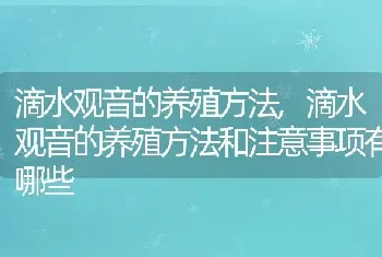 滴水观音的养殖方法，滴水观音的养殖方法和注意事项有哪些