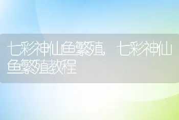 七彩神仙鱼繁殖，七彩神仙鱼繁殖教程