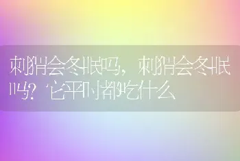 刺猬会冬眠吗，刺猬会冬眠吗？它平时都吃什么