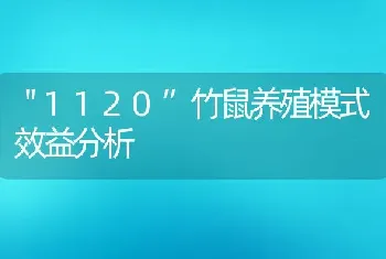 ＂1120”竹鼠养殖模式效益分析