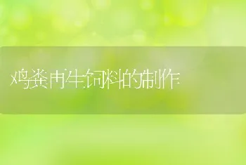 鸡粪再生饲料的制作