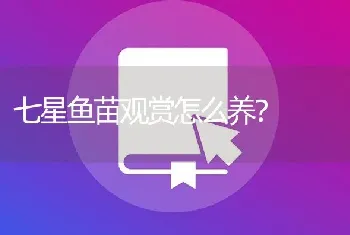 七星鱼苗观赏怎么养？