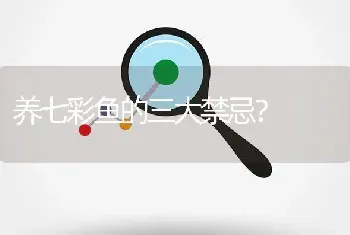 养七彩鱼的三大禁忌？