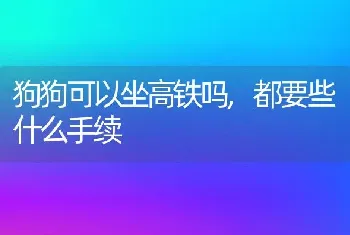 狗狗可以坐高铁吗，都要些什么手续