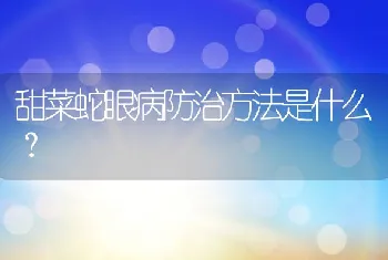 甜菜蛇眼病防治方法是什么？